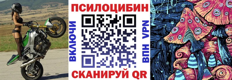 закладка  Серов  Псилоцибиновые грибы мицелий 