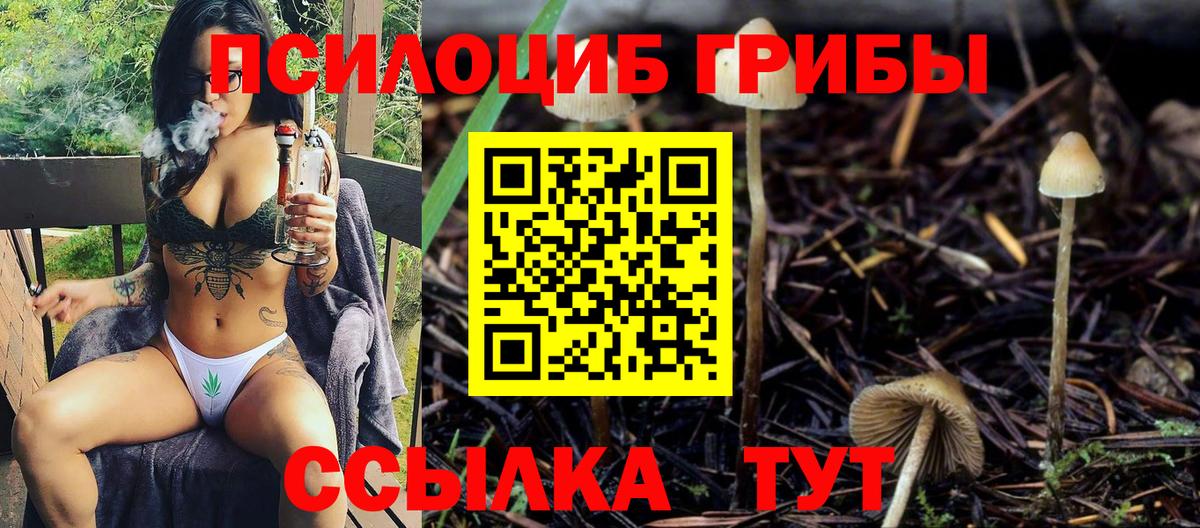 Псилоцибиновые грибы Magic Shrooms Серов
